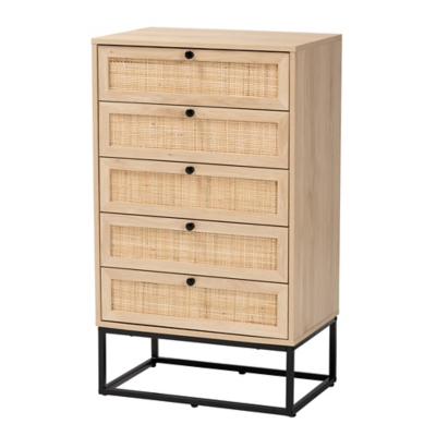 Baxton Studio Darien 2 Door Storage Cabinet Ashley