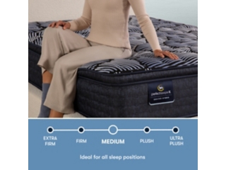 Perfect Sleeper X Lexton Pillow Top 14.25 in. Hybrid Mattress