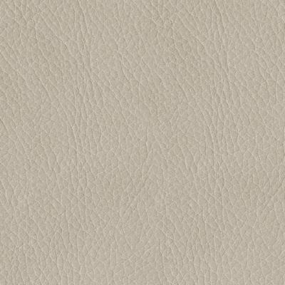 Swatch color Bone 