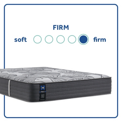 Sealy Euclid Avenue Ultra Firm Foam Twin Mattress