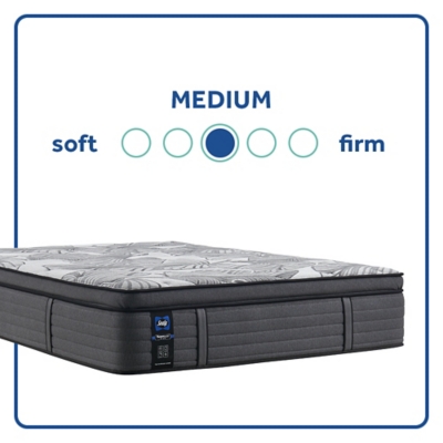 Sealy Euclid Avenue Medium Euro Pillowtop Queen Mattress