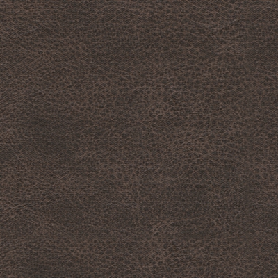 Swatch color Umber 