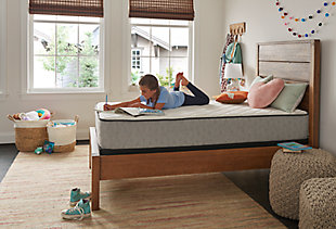 Your guests will sleep comfortably on the Sealy Risbury firm twin mattress. This spring mattress features Response™ Open Coils and a gel foam layer for all-over comfort. Perfect for guest rooms or a child's bedroom, it provides a great night’s sleep at an affordable price.8.5" profile | Knit cover | Quilt: 0.5" SealySupport™ Gel Foam medium | Foam layers: 0.5" SealyCool™ Gel Foam soft | Response™ Open Coil | 525 coil count