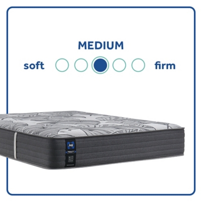 Sealy keyes store twin mattress