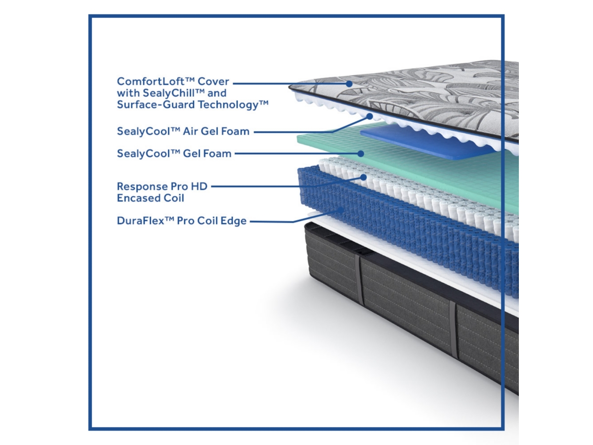 Sealy posturepedic plus euclid avenue discount