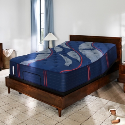 Sealy Posturepedic® Elite Albany II Firm Queen Mattress, Blue, large