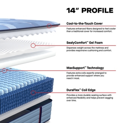 Sealy Posturepedic® Pro Golden Grove Firm Full Mattress, Blue, large