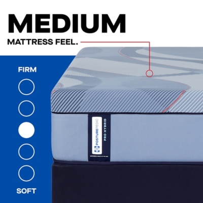 Sealy Posturepedic® Plus Golden Grove Hybrid Medium Queen Mattress
