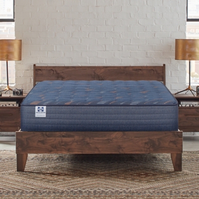 Sealy® Chapman Firm Queen Mattress, Blue, large