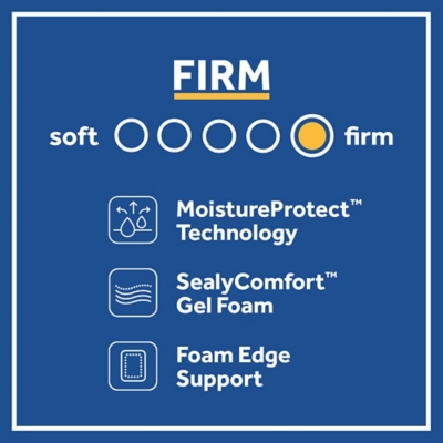 Sealy® Chapman Firm Queen Mattress