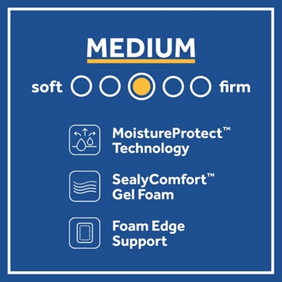 Sealy® Chapman Medium Queen Mattress
