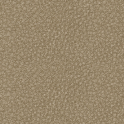 Swatch color Sand 