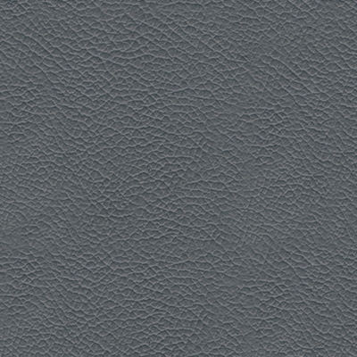 Swatch color Steel 