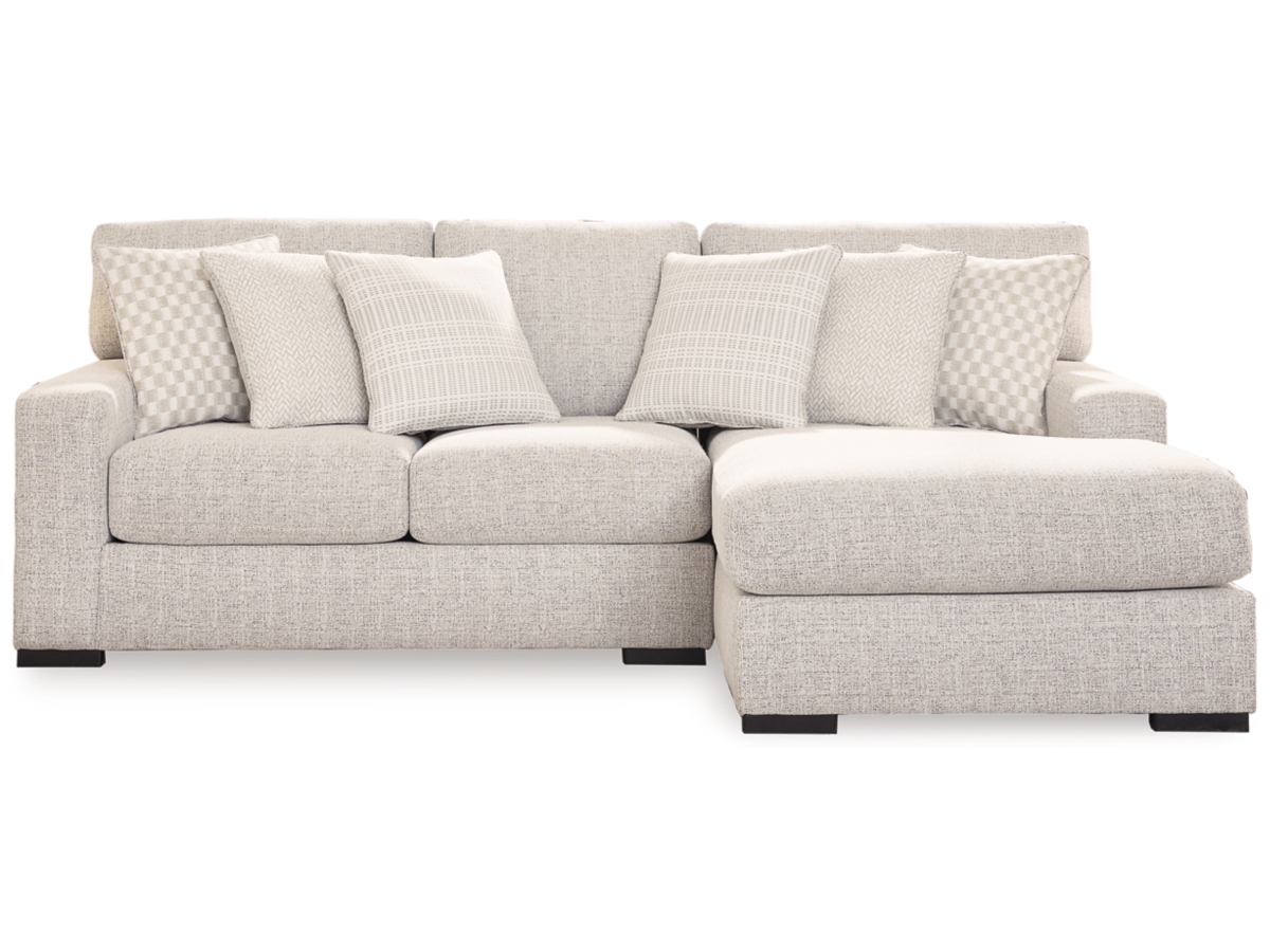 Larce 2-Piece Performance Fabric Sectional with Chaise