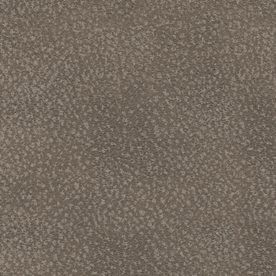 Swatch color Fog 