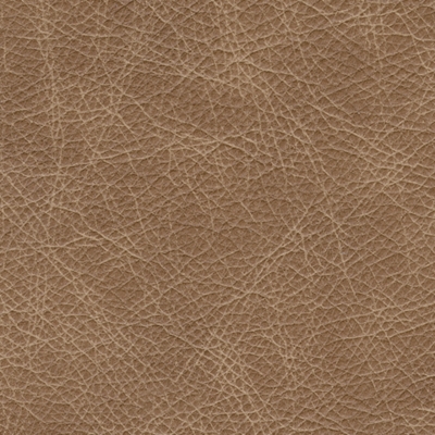 Swatch color Tumbleweed 