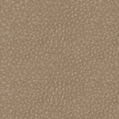 Swatch color Sand 
