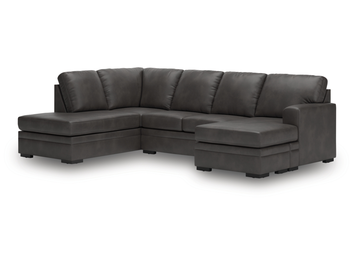 Dara Park 2-Piece Sectional with Chaise