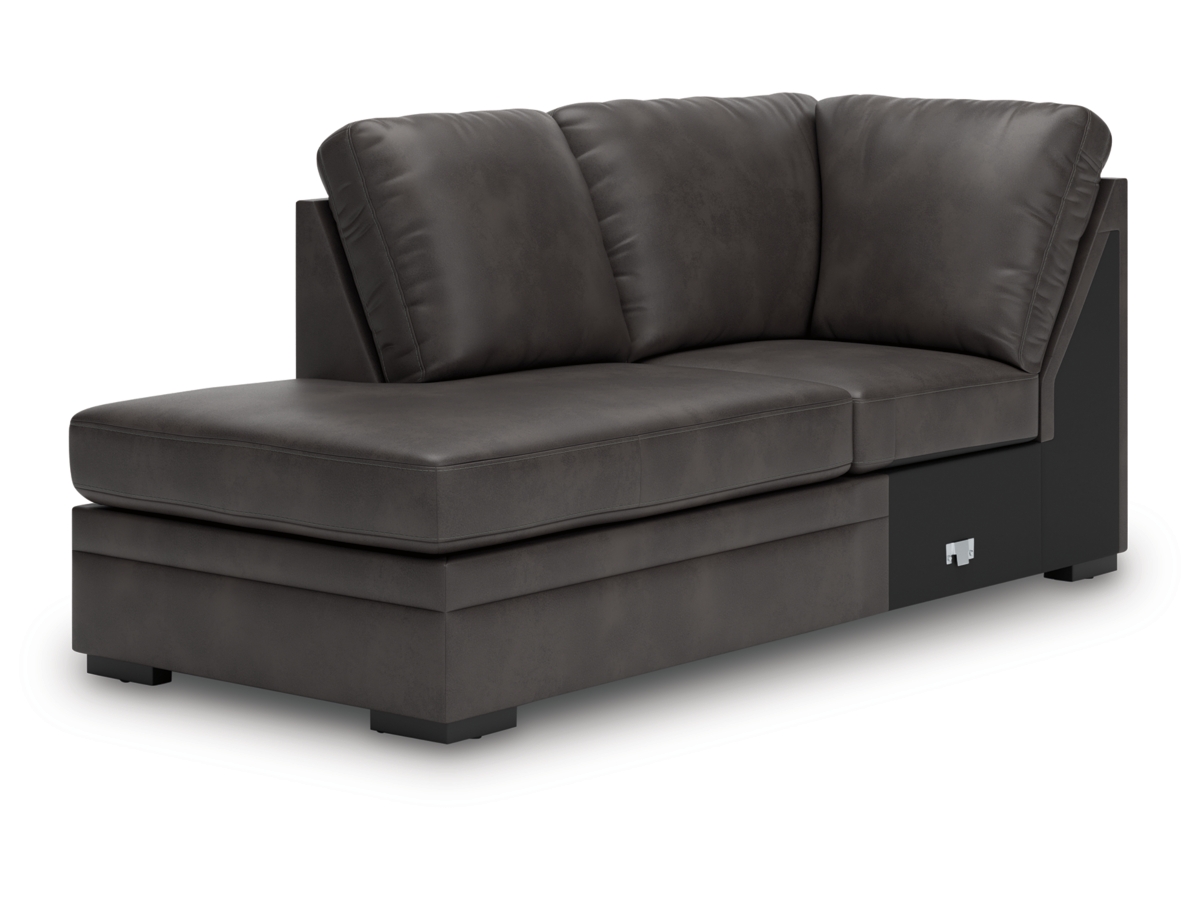 Dara Park 2-Piece Sectional with Chaise