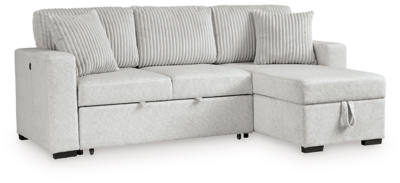 Poppleton 2-Piece Sectional with Pop Up Sleeper and Chaise