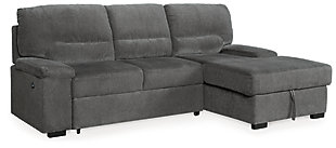 Yantis 2-Piece Sleeper Sectional with Storage, , large