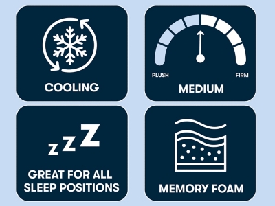 Perfect Sleeper Perfect Sleeper Aspire Medium 14 in. Queen Mattress