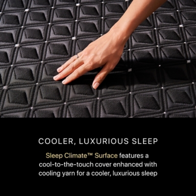 Beautyrest Black® Hybrid Series Three Plush 14.5 in. Twin XL Mattress, Black, large