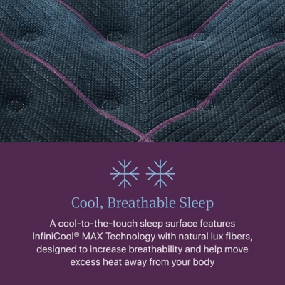 Beautyrest World Class Level Three Plush 14.75 in. Full Mattress, Black, large