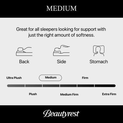 Beautyrest World Class Level Four Hybrid Apex Top 14 in. Mattress, Black, large