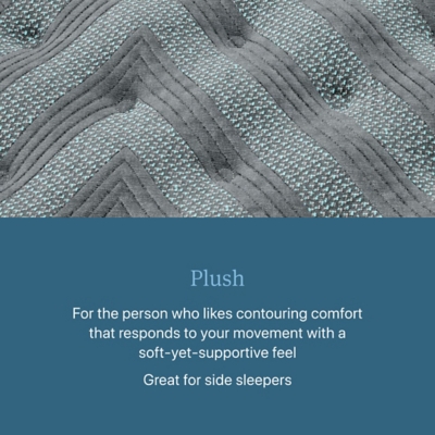 Beautyrest Level One Plush 13.75 in. Queen Mattress