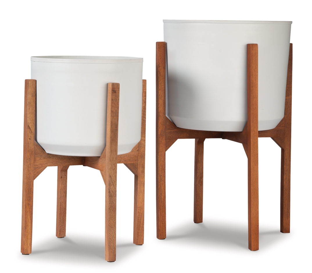 A2000427 Dorcey Image