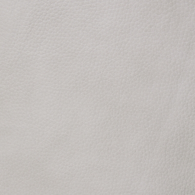 Swatch color Bone 