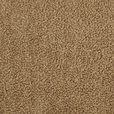 Swatch color Camel 