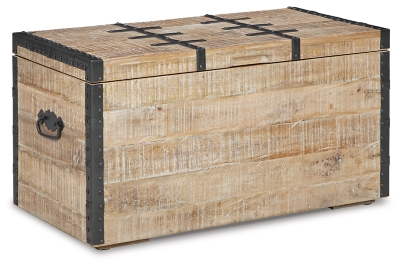 Dartland Storage Trunk