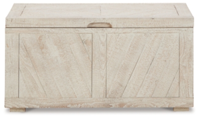 Ryker Storage Trunk