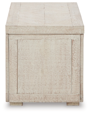Ryker Storage Trunk