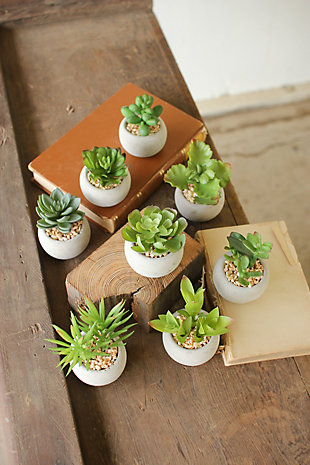 Small Succulents With Round Cement Pot (Set of 8), , rollover