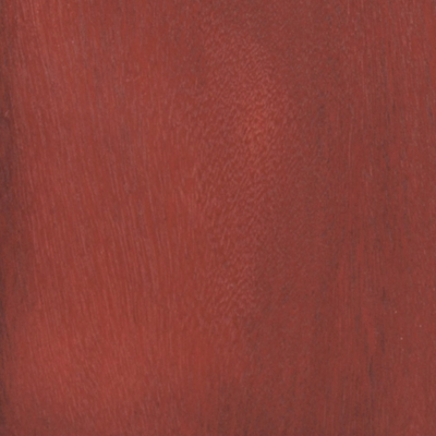 Swatch color Red 