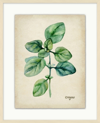 Providence Art Giclee Kitchen Herb Wall Art Ashley Furniture Homestore