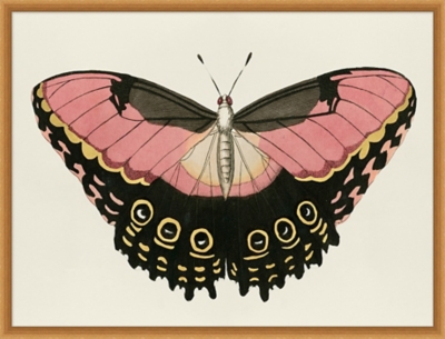 Giclee Butterfly Wall Art, , large