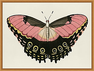 Giclee Butterfly Wall Art, , rollover
