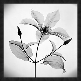 Giclee Clematis Wall Art, , rollover