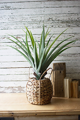 Home Accent Artificial Aloe Plant, , large