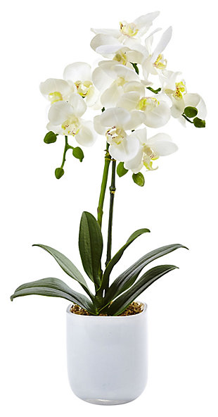 Home Accent Phalaenopsis in Frosted Glass, , rollover