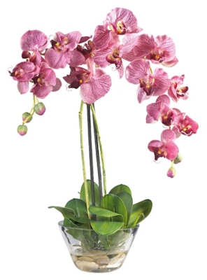 Home Accent Phalaenopsis with Glass Vase, , large