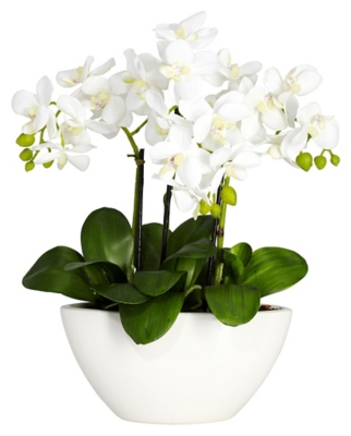 Phalaenopsis Silk Flower Arrangement, White