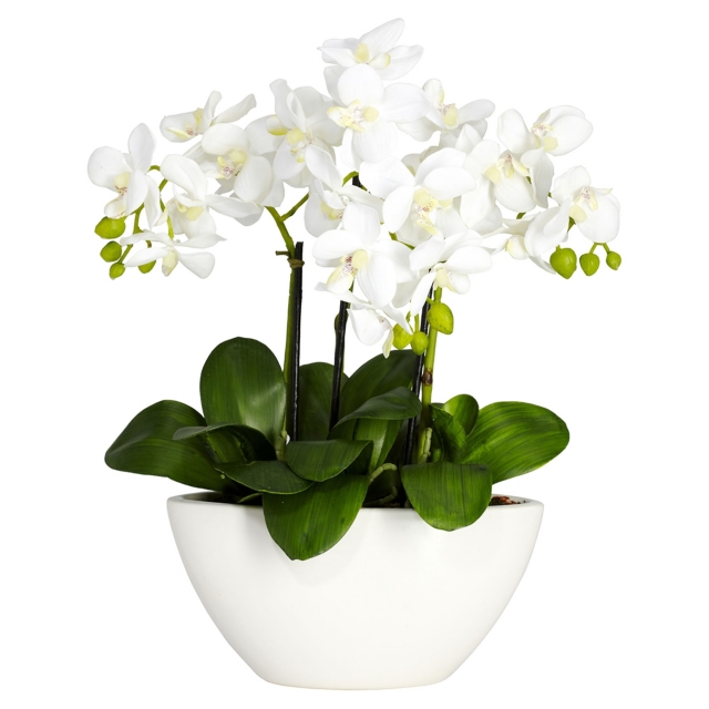 Phalaenopsis Silk Flower Arrangement