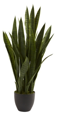 Home Accent Sansevieria with Black Planter, Green