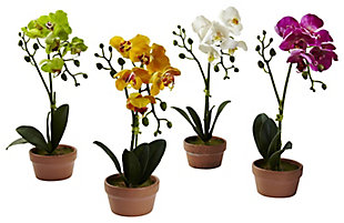 Home Accent Phalaenopsis Orchid with Clay Vase (Set of 4), , large