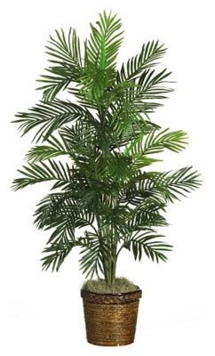 Home Accent 56 Areca Tree with Basket, Green